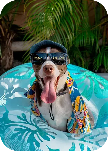 Foto realizada por BWE AGENCY - Agencia de Marketing en Cancún