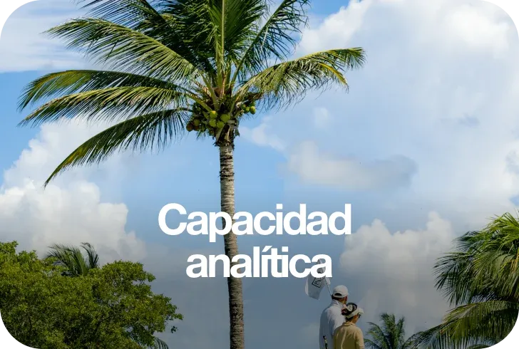 Nuestra Capacidad de Análisis - BWE Agency