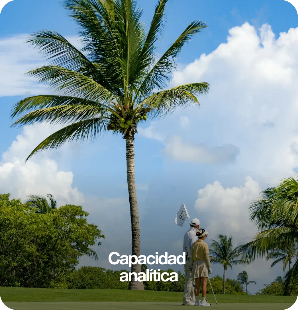 Nuestra Capacidad de Análisis - BWE Agency