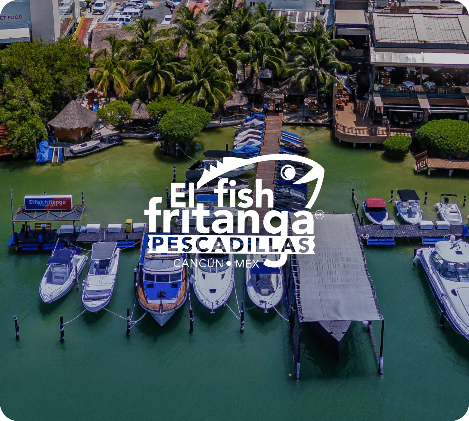 Foto realizada por BWE AGENCY - Agencia de Marketing en Cancún