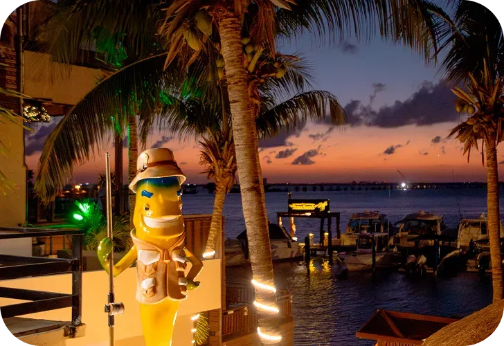 Foto realizada por BWE AGENCY - Agencia de Marketing en Cancún