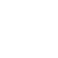 Logo - Stp